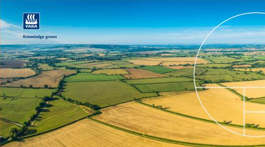 Termimos y condiciones Yara Chile