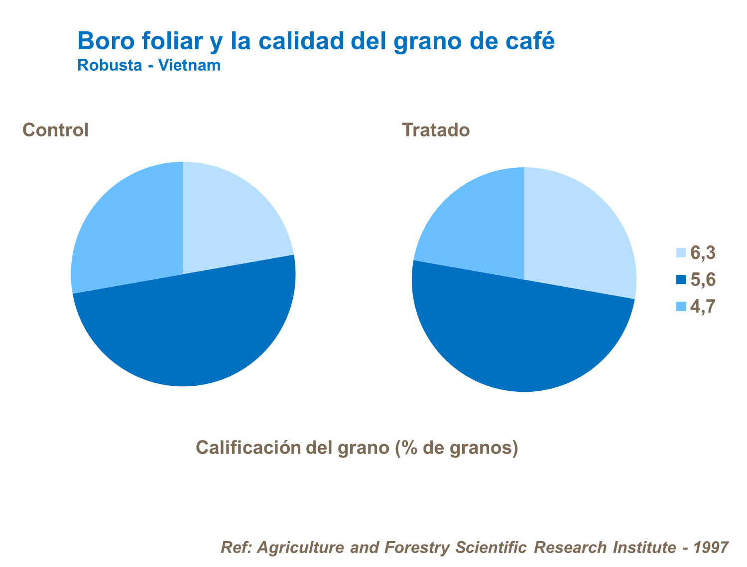 Boro foliar y la calidad del grano de café