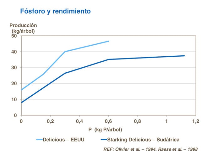 Fosforo02