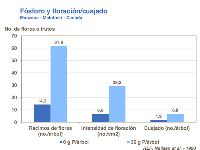 Fosforo01